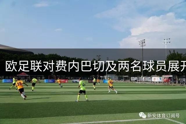 欧足联对费内巴切及两名球员展开纪律调查